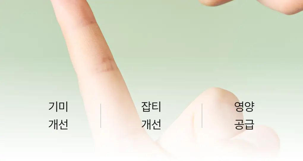 [색소침착/흔적] 청미정 기미잡티크림 카카두플럼 50g 상세페이지 9